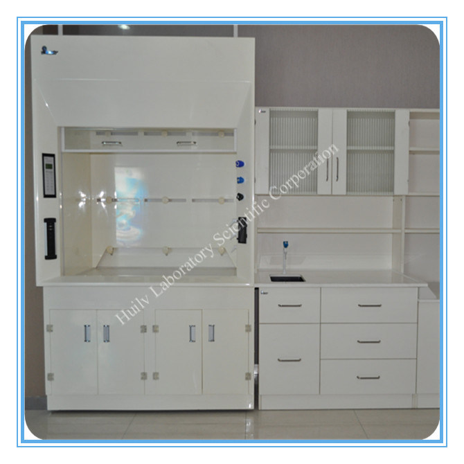 China Solomon Laboratory New Specialized Fume Cupboard