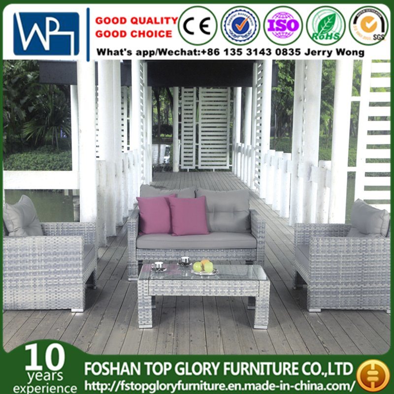 PE Rattan & Aluminum Furniture, Outdoor Rattan Sofa (TG-026)