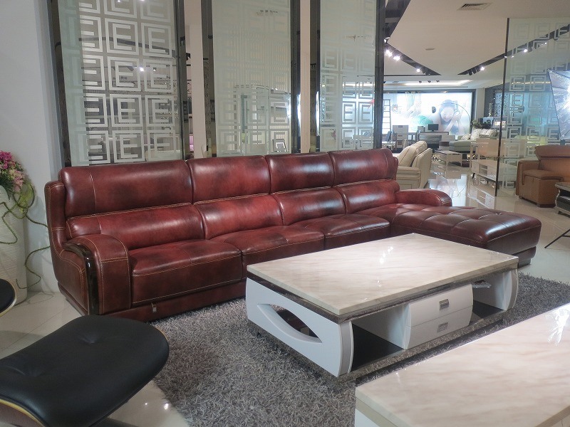 Modern Style Living Room Genuine Leather Sofa (SBL-9189)