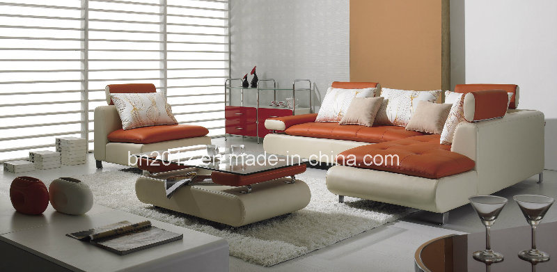 Modern Furniture Top Leather Sofa (B-205)