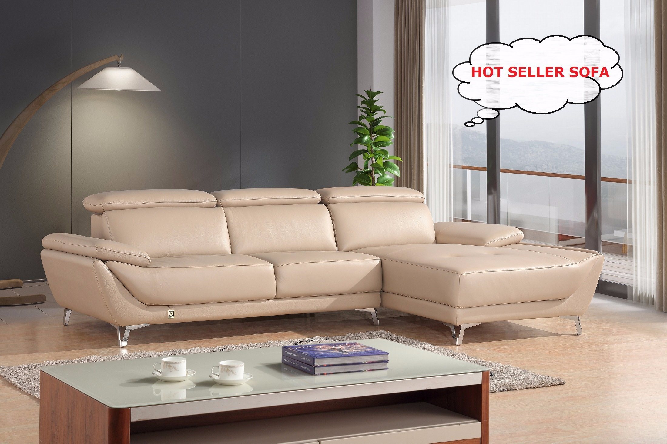 Italian Living Room Furniture Genuine Leather Sofa 1+2+3 Sofa (SBL-1716C)