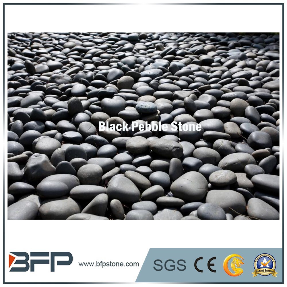 Garden Decorative Cobble Stones / Pebble Stone in China