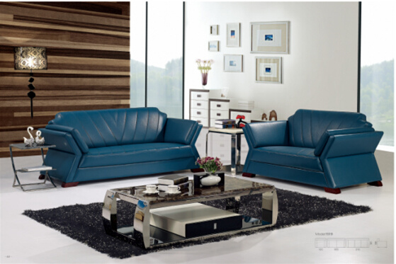 Modern Leather Sofa with Genuine Leather Couches