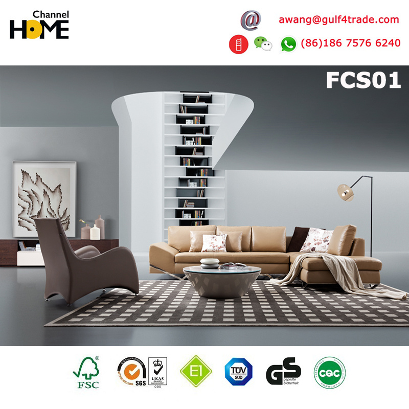 Modern Living Room Sectional Leather Sofa (FCS01)