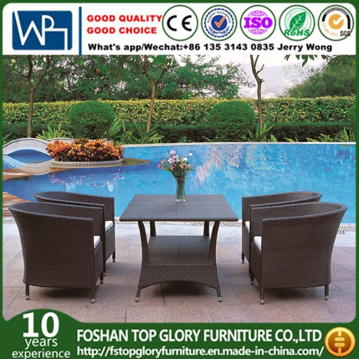 Outdoor Garden Patio Furniture Dining Set (TG-JW55)