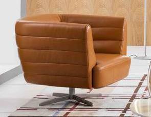 Home Modern Leisure Style Living Room Leather Chair (TG-DY10)