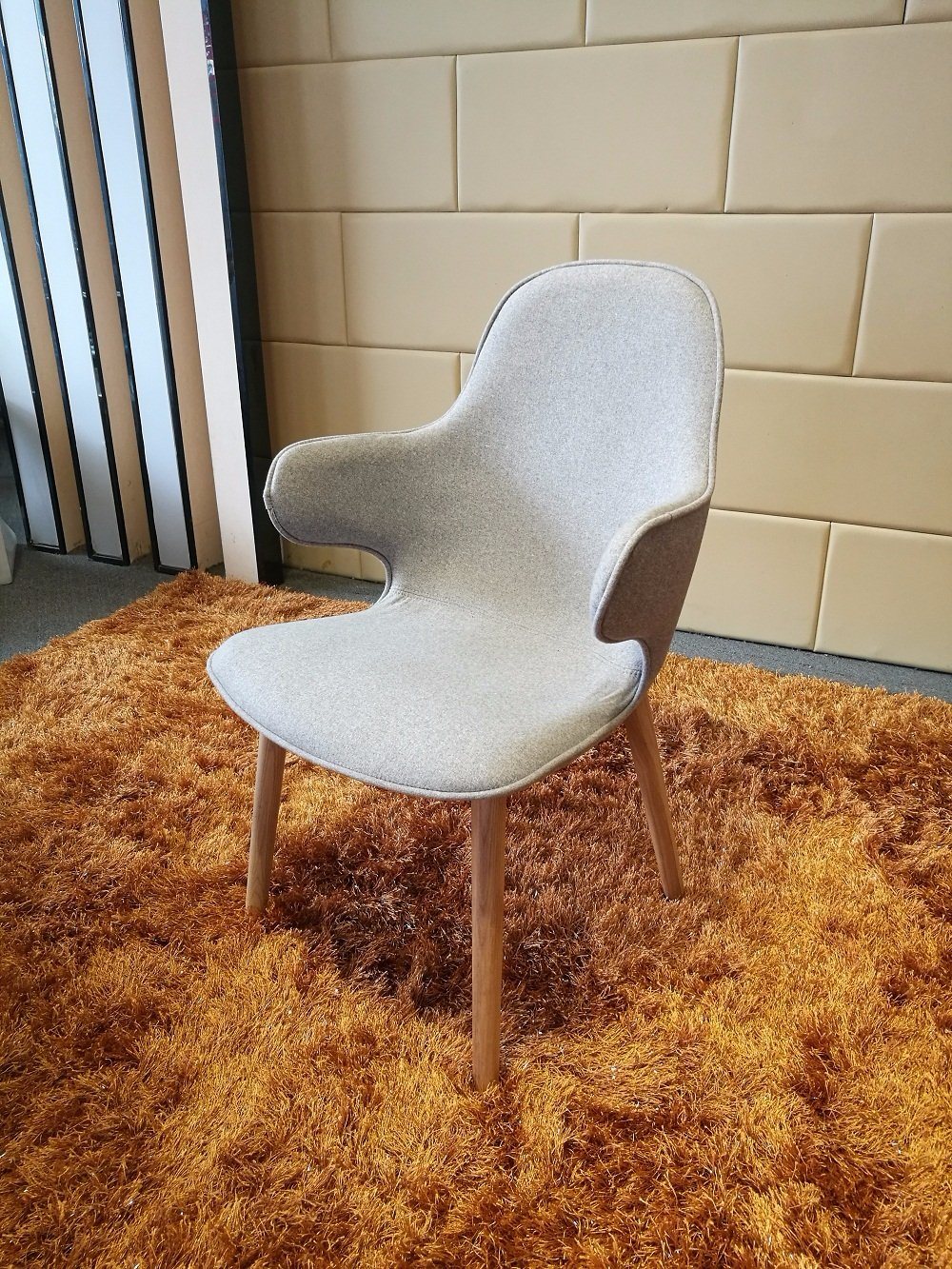 Home Furniture Fiber Glass Leisure Chair (EC-031)