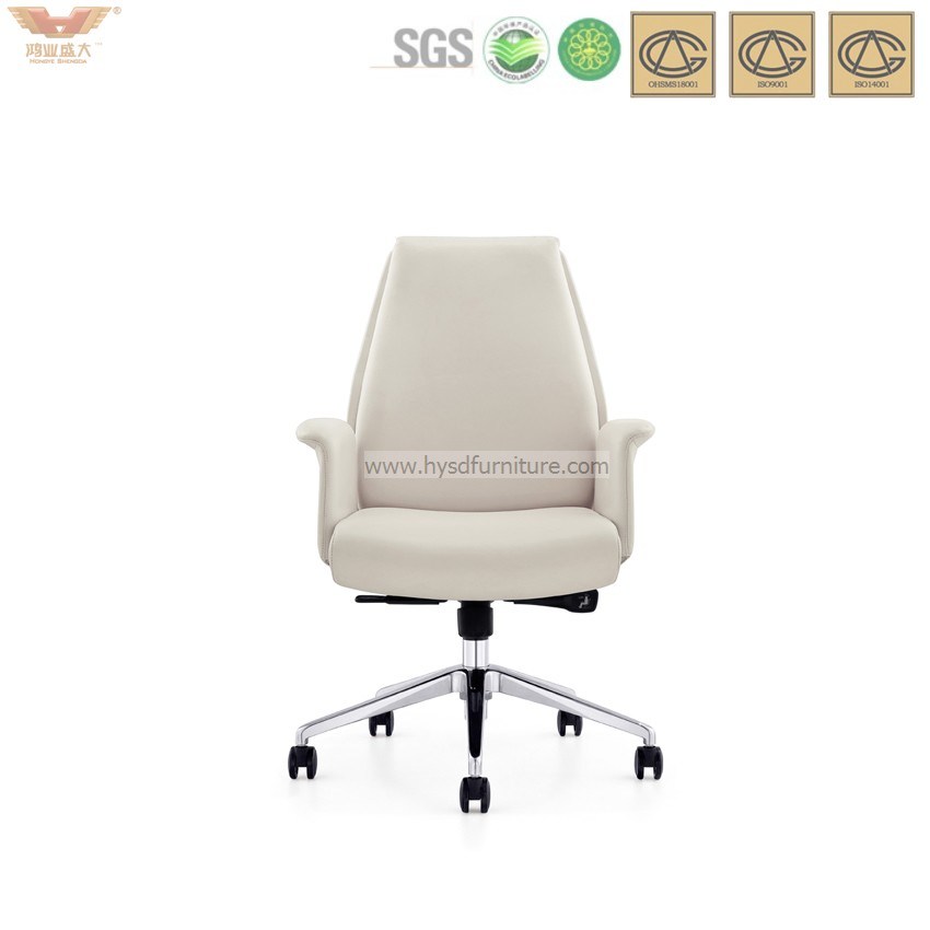 Office Furniture Leather Home Office Chair Executive Chair (HY-296)