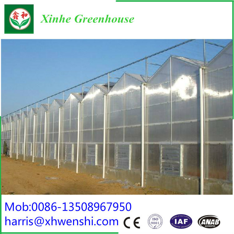 Turn Key Greenhouse