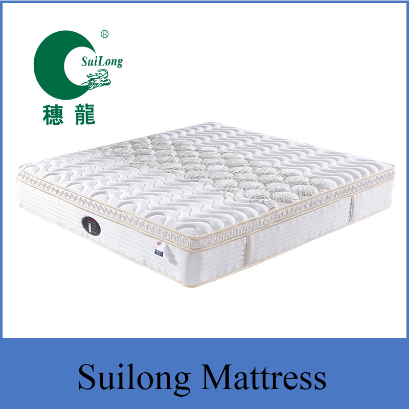 Memory Foam and Super Soft Foam Euro Top Mattress Bedroom Furniture