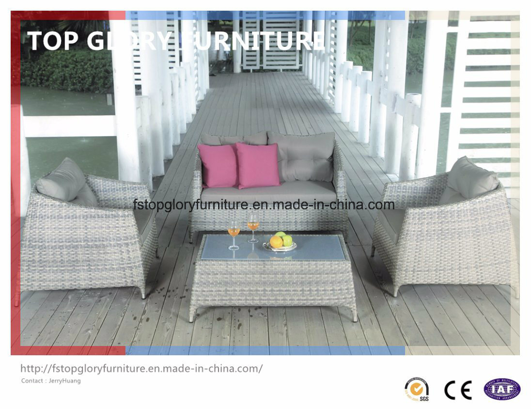 PE Rattan & Aluminum Furniture, Outdoor Rattan Sofa (TG-075)