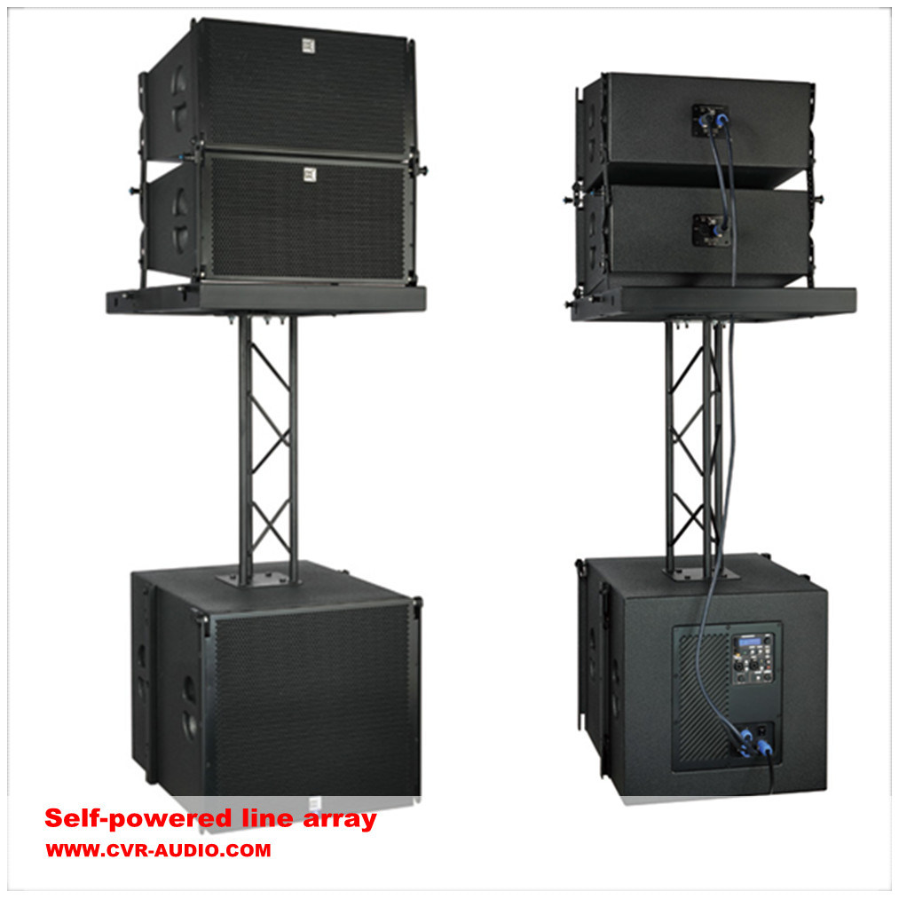 China Active Speaker Line Array Birchwood Line Array Speaker Cabinet