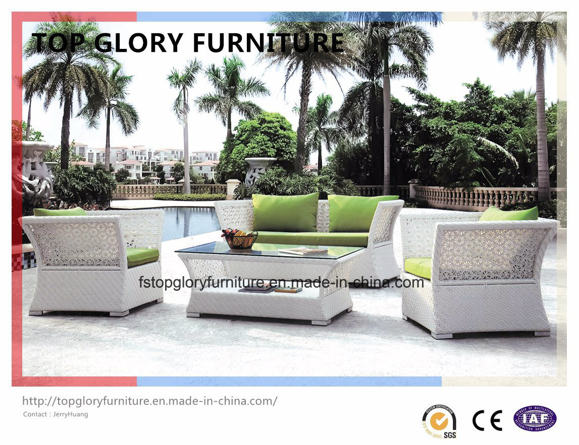 PE Rattan Furniture Outdoor Comfortble Sofa (TG-037)