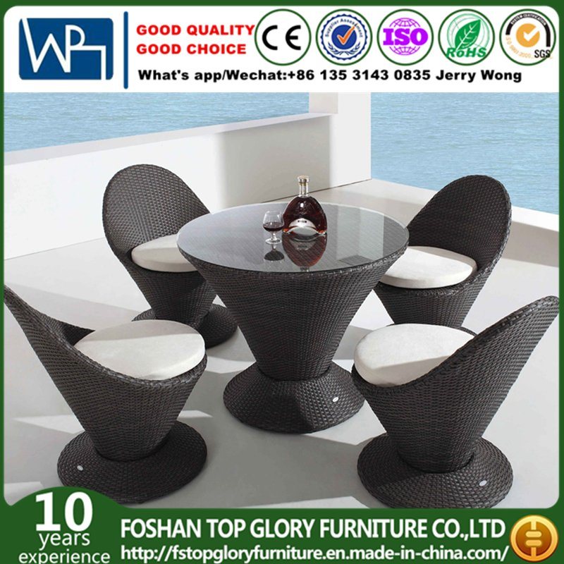 Outdoor Furniture Garden Dining Set (TG-1206)