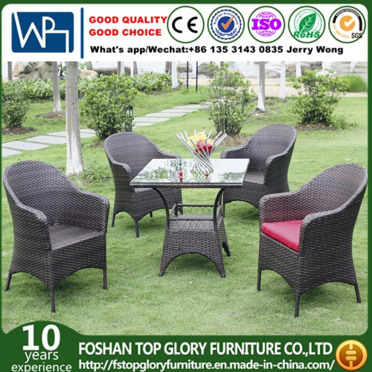 Unfolding Rattan Chair/Rattan Chair and Rattan Chair Set (TG-510)