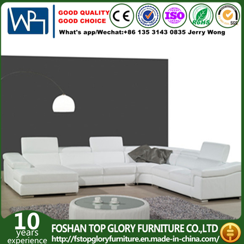 American 2017 Modern Furniture Sofa (TG-9119)