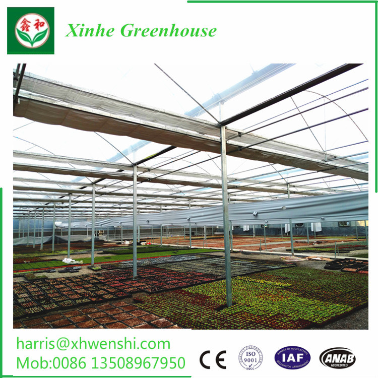 Commercial Hydroponics System for Tomato Crop