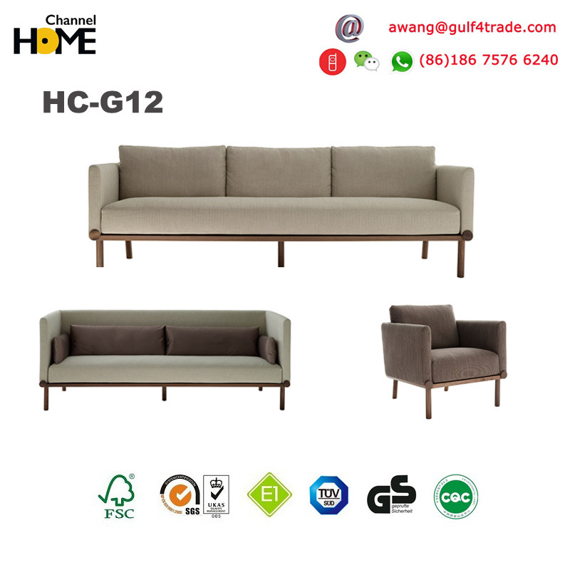 Chinese Furniture Modern Leisure Living Room Sofa (HC-G12)