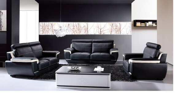 Modern Leather Sofa with Genuine Leather Couches