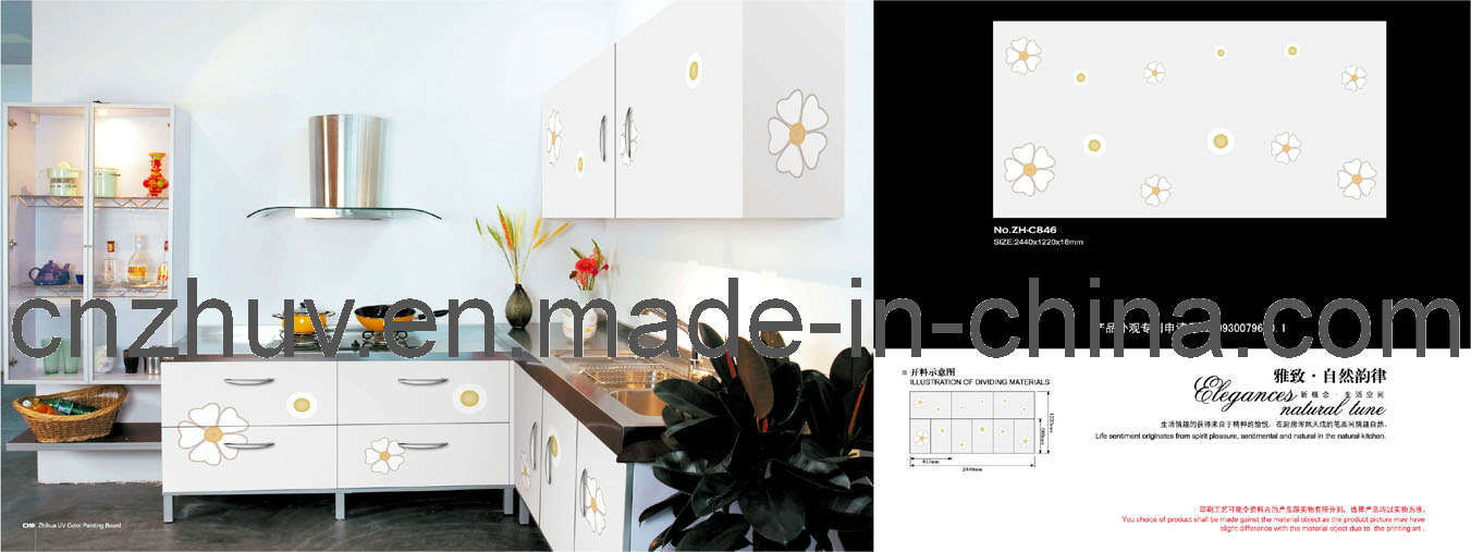 UV Color Painting Panel for Cupboard (ZH-C846)