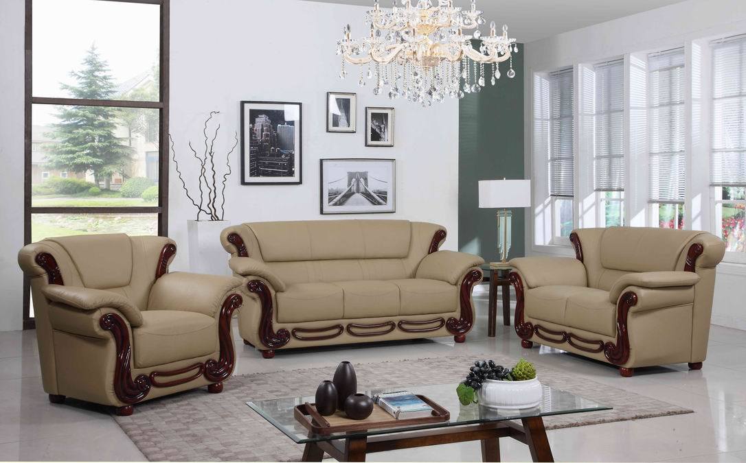 Modern Sofa with Show-Wood