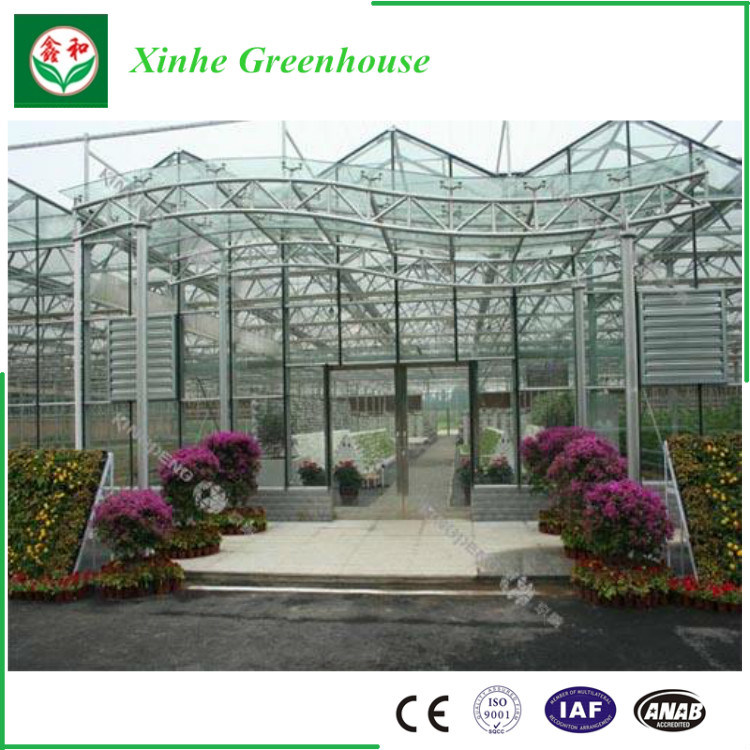 Venlo Type Glass Greenhouse for Vegetable and Flowers Growing