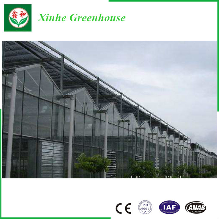 Commercial Glass Greenhouse with Climate Control System