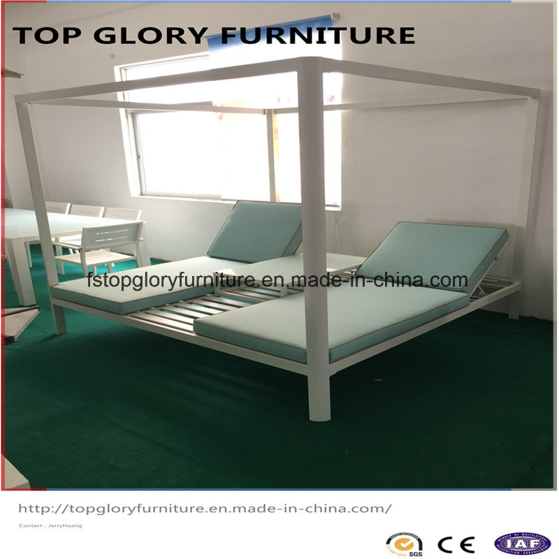 Top Quality New Design Outdoor Double Patio Sun Lounge Aluminum Lounge (TG-6001)