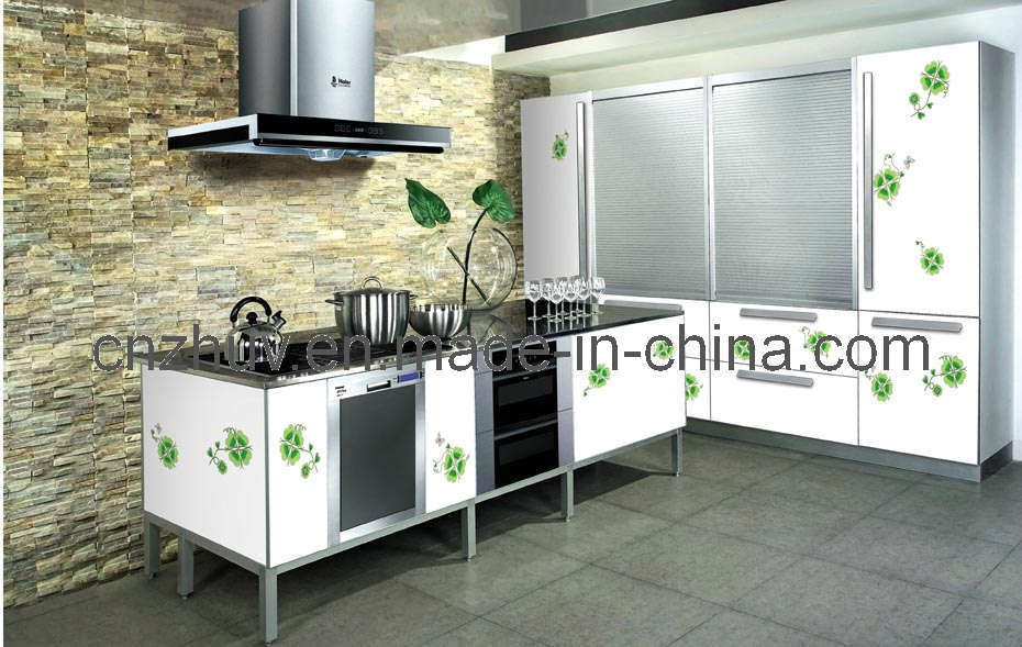 Kitchen Cabinet of Color Paniting UV Board & Cabinet Doors (ZH-C865)