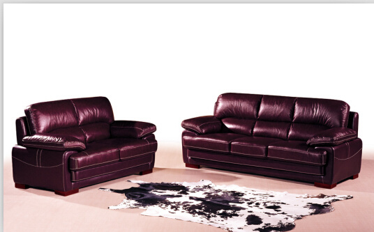 Modern Leather Sofa with Genuine Leather Sofa Furniture