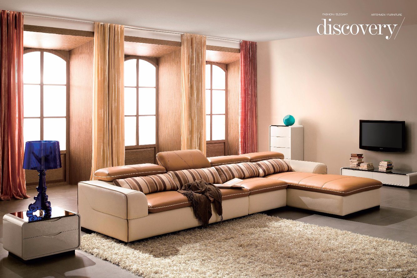 Home Use Fashion Real Leather Sofa