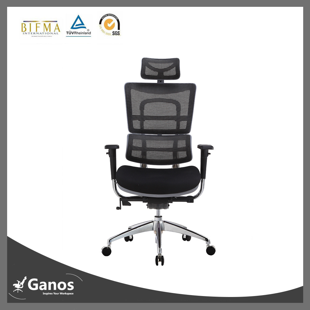 5 Years Warranty Ergohuman Style Office Chair /BIFMA Chair