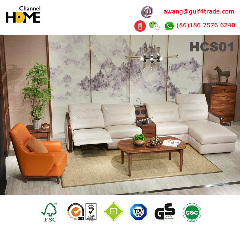 New Italian Modern Sectional Living Room Leather Sofa (HCS01)