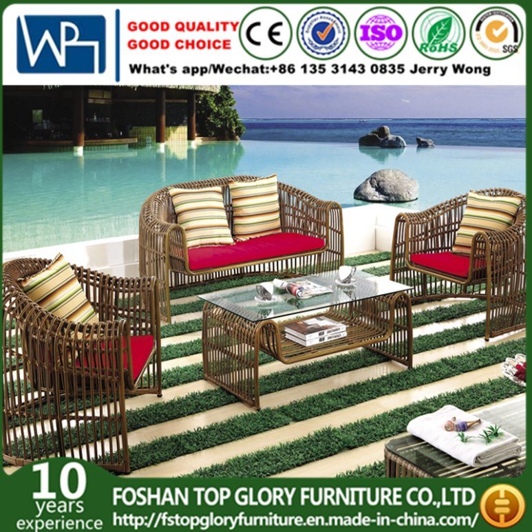 Modern Outdoor Furniture Leisure Garden Sofa (TG-007)