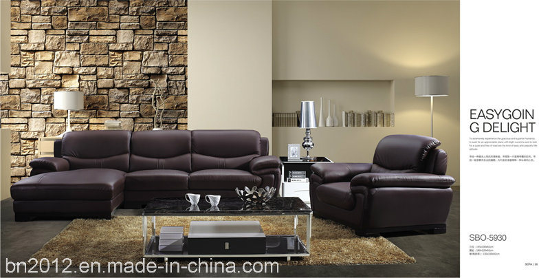 Living Room Genuine Leather Sofa (SBO-5930)