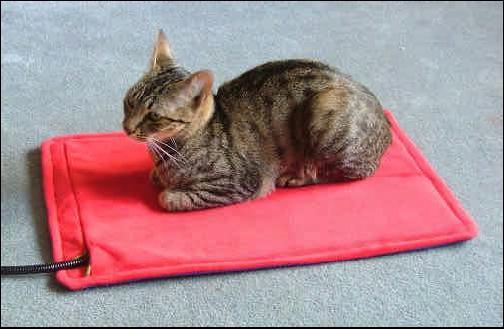 Flexible Heated Pet Bed with CE&RoHS Approved.