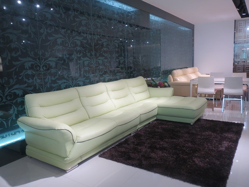 Elegant and Simple Style Living Room Leather Sofa (SBL 9192)