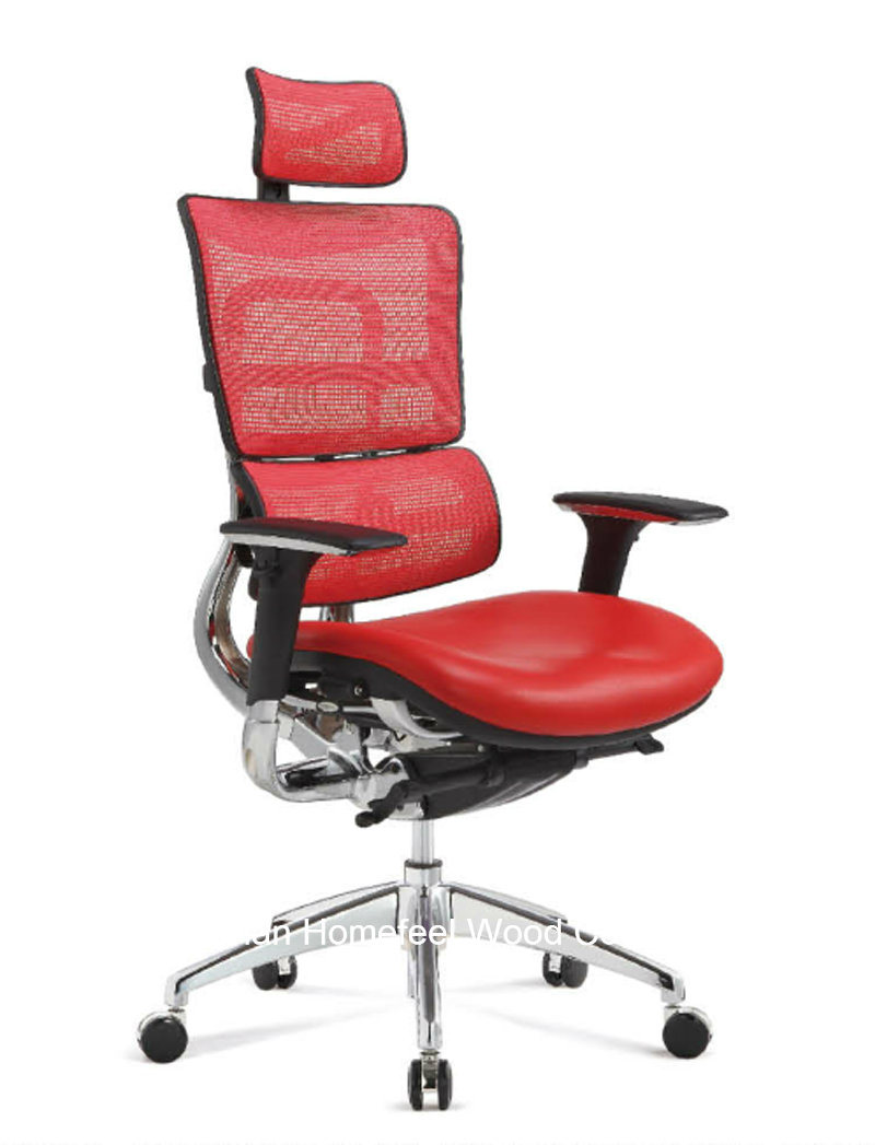 Ergohuman Mesh High Back Office Chair (HF-H066AF)