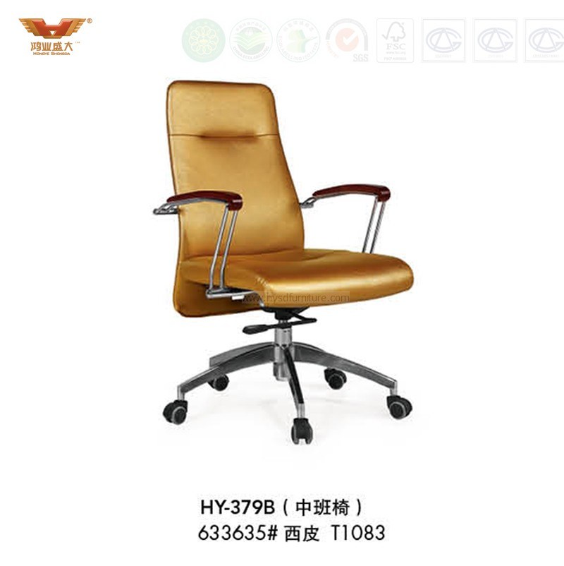 High Quality Office Leather Chair with Armrest (HY-379B)