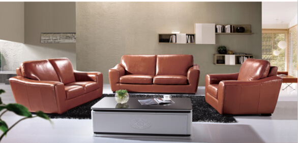 Modern Leather Sofa with Genuine Leather Couches