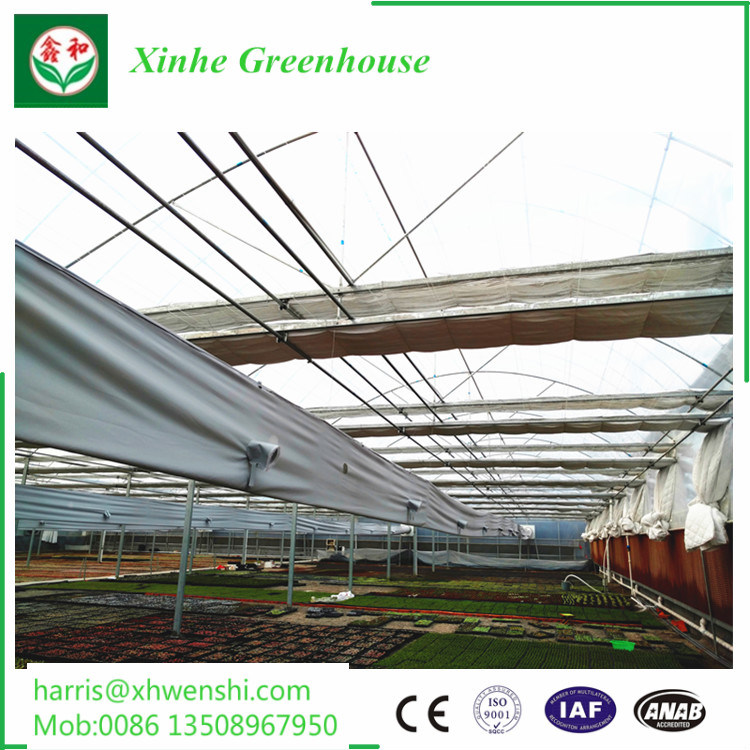 New Design Square Transparent Foldable Garden Greenhouse