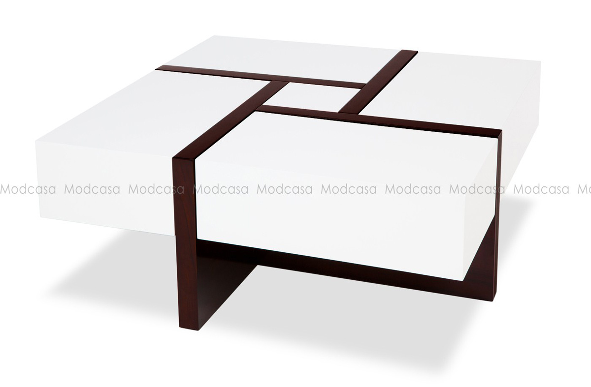 Big Storage Functional Square Speiz Coffee Table