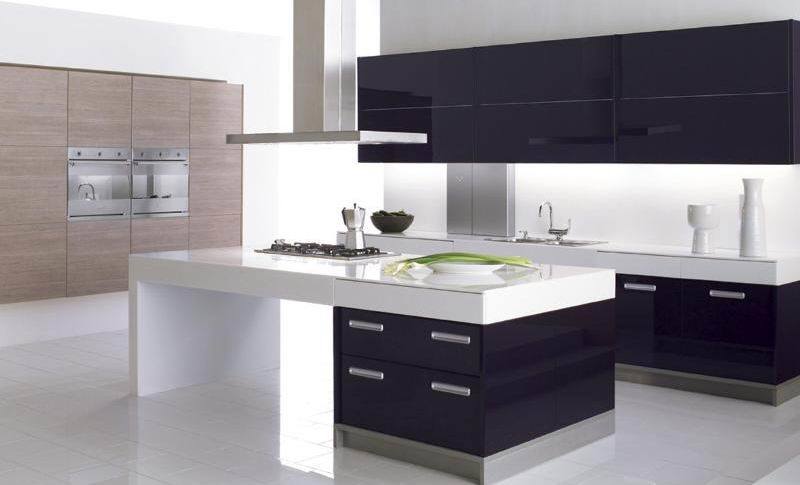 Baking Varnish High Glossy Kitchen Cabinet (ZH-056)