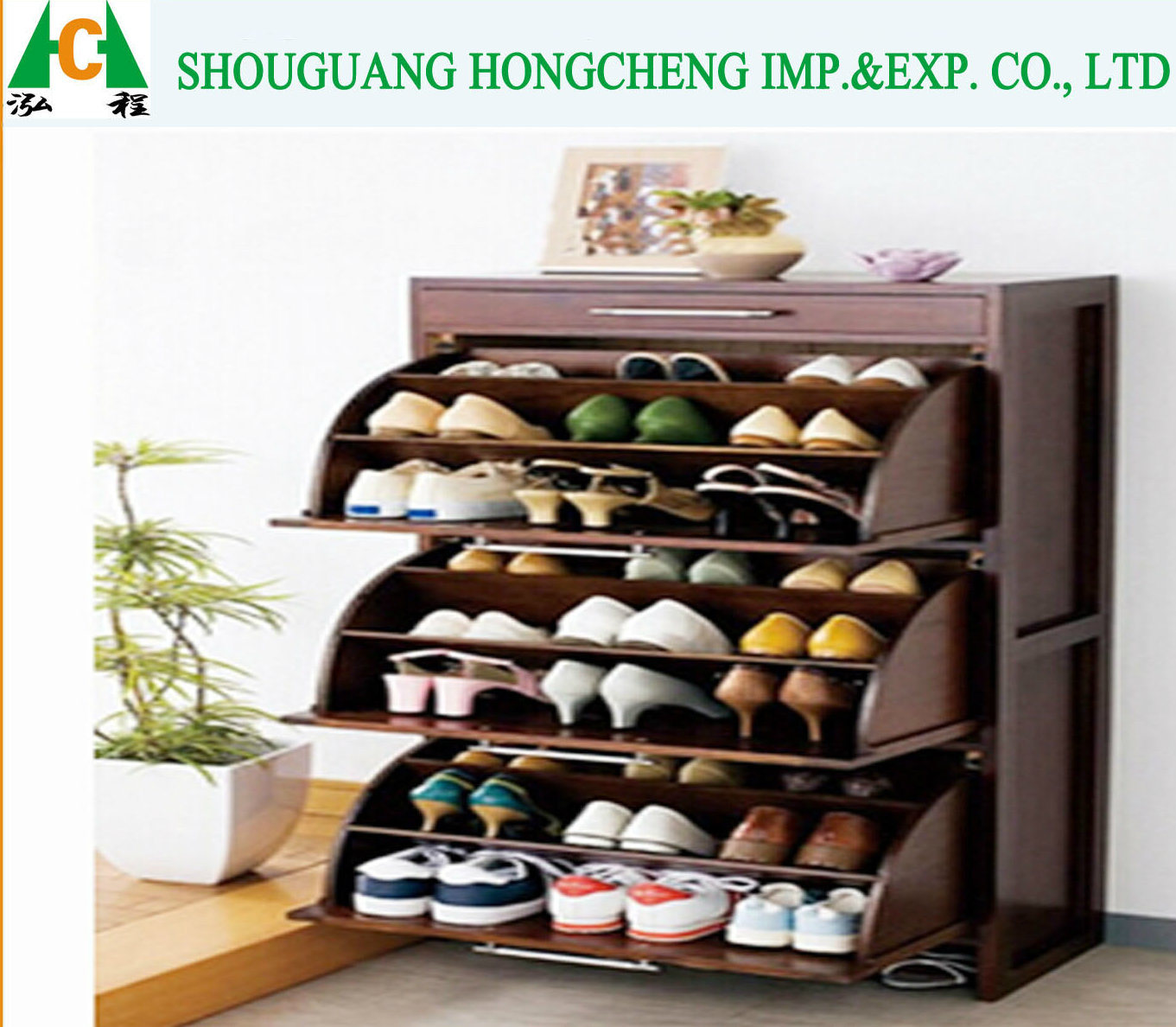 Wooden Color Modern Shoe Cabinet