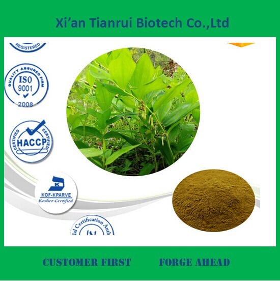 Solomonseal Rhizome Extract Powder for Sale