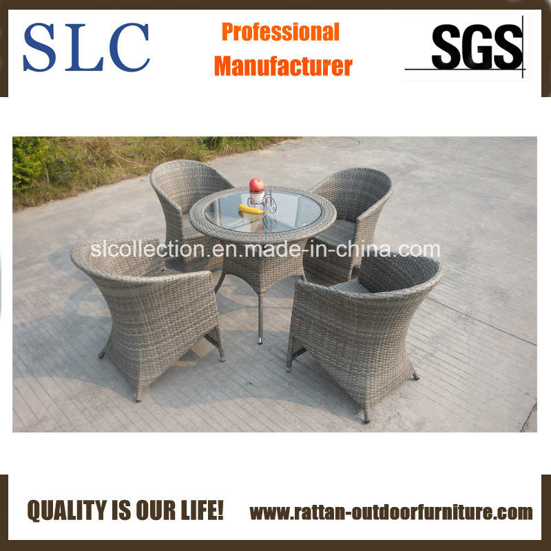 Rattan Furniture Sale (SC-B6519)