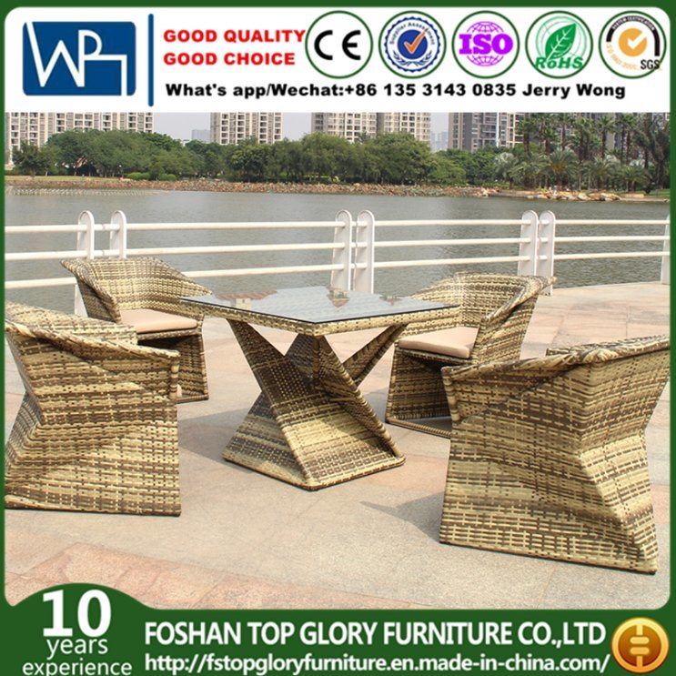 Outdoor Furniture Garden Dining Table Set for Garden (TG-1655)