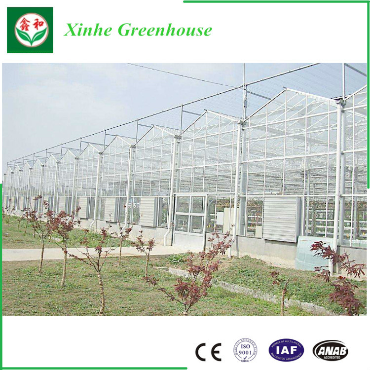 China Supplier Low Cost Glass Greenhouse for Commercial