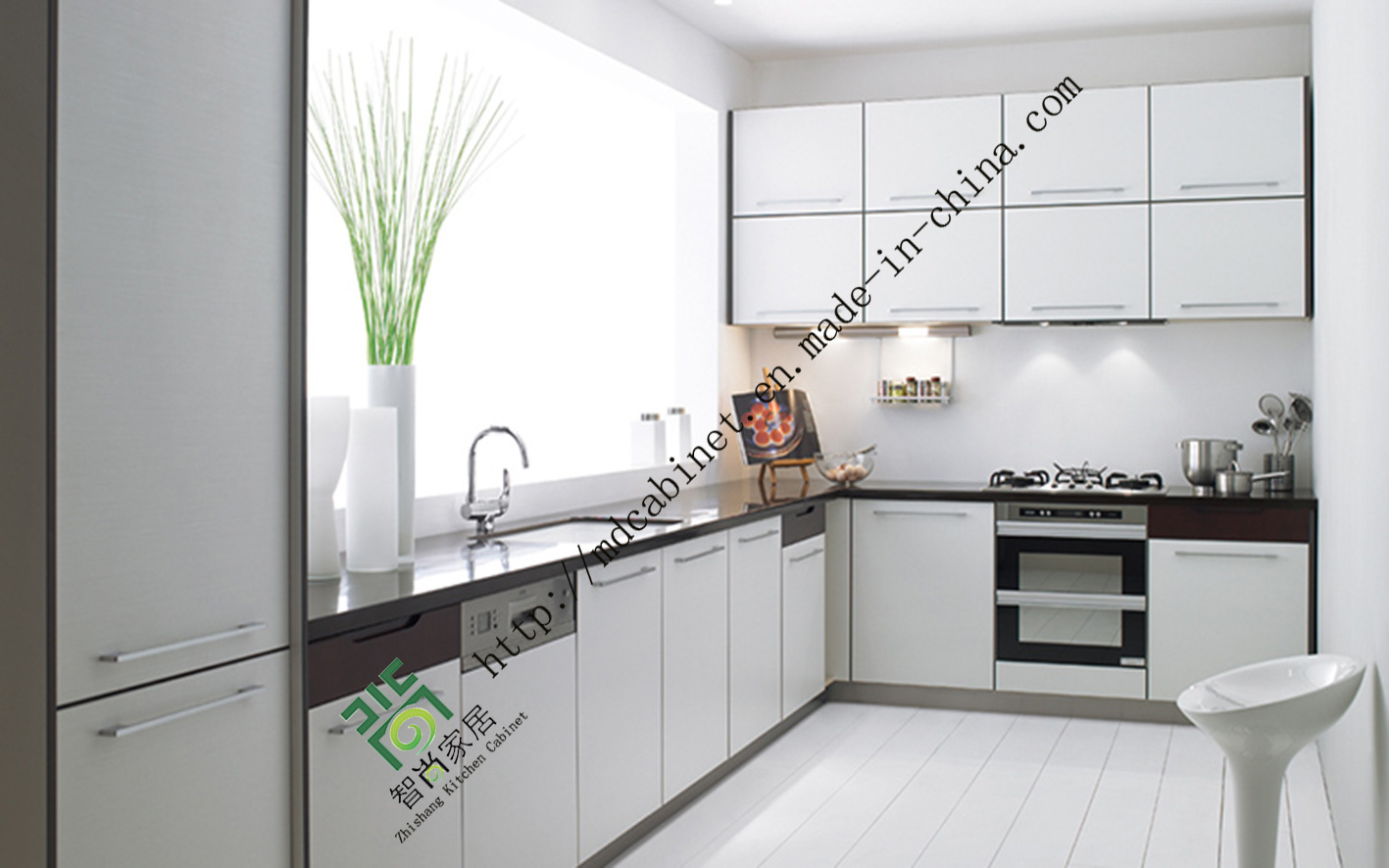 High Gloss with Lacquer Kitchen Cabinets Display (zs-214)