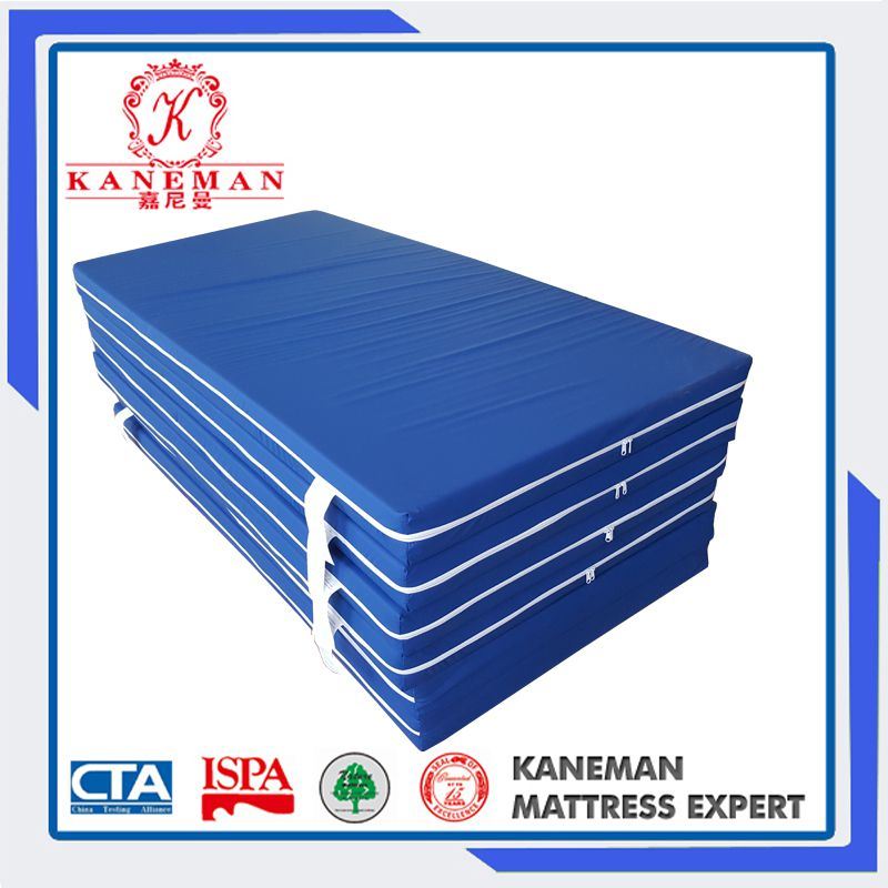 2017 New Style Prison Waterproof Thin Foam Mattress with Zippers